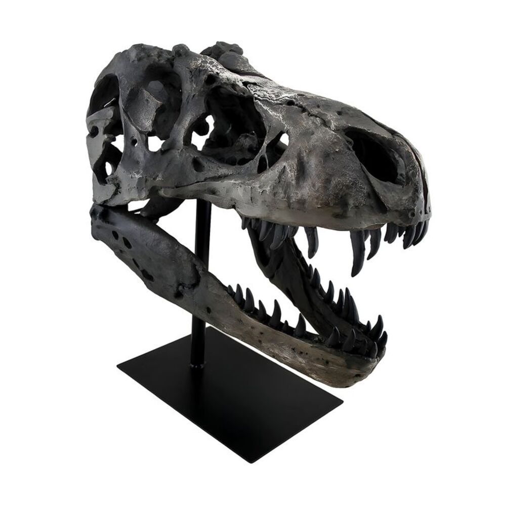Gray Finished Tyrannosaurus Rex Fossil Skull Statue On Museum Mount T-Rex